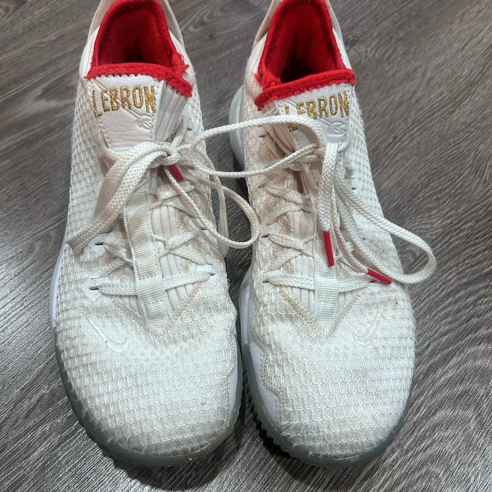 Lebron XVI Draft Day 16 Low 2019 Mens Basketball Shoes